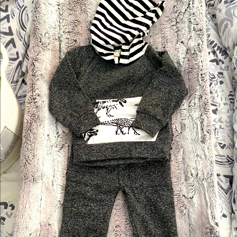 70 Brand Striped Dinosaur 2 Piece Sweatsuit Size 0-6 Months